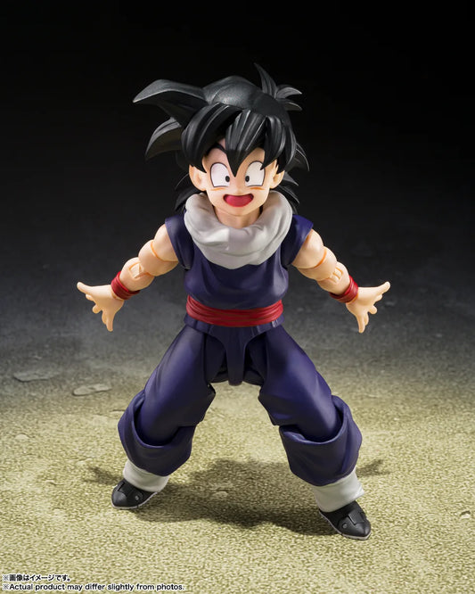 Bandai S.H.Figuarts Dragon Ball Z Son Gohan Z-Fighters (Group Base Ver,A Limited Edition)