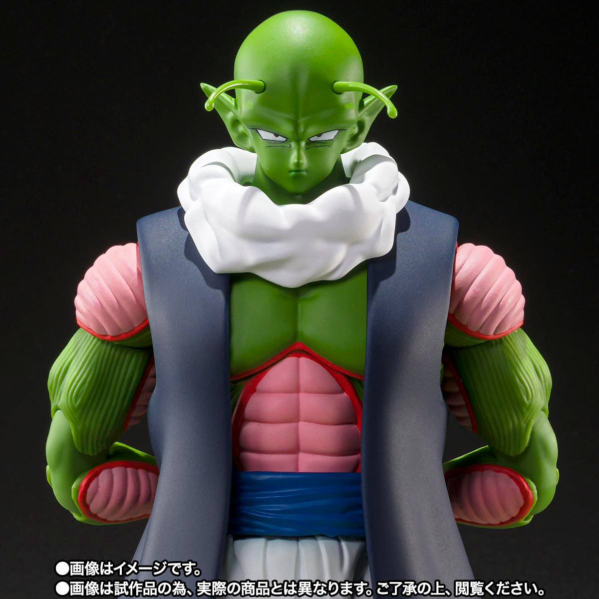Premium Bandai S.H.Figuarts Dragon Ball Z Nail