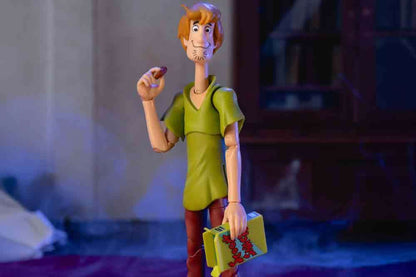 Jada Toys Scooby-Doo Shaggy Rogers