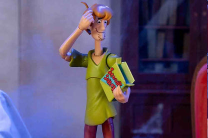 Jada Toys Scooby-Doo Shaggy Rogers