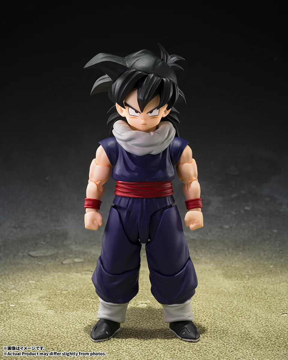 Bandai S.H.Figuarts Dragon Ball Z Son Gohan Z-Fighters (Group Base Ver,A Limited Edition)