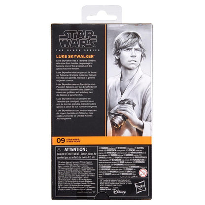 Hasbro Star Wars The Black Series Luke Skywalker Star Wars: A New Hope