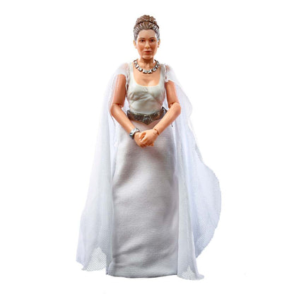 Hasbro Star Wars The Black Series Princess Leia Organa (Yavin 4) Star Wars: A New Hope