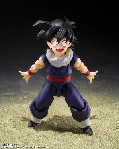 Bandai S.H.Figuarts Dragon Ball Z Son Gohan Z-Fighters (Group Base Ver,A Limited Edition)