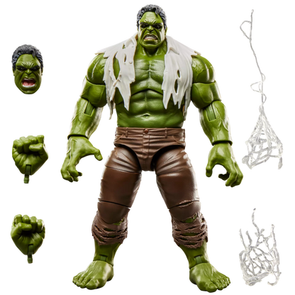 Hasbro Marvel Legends Series Spider-Man Brand New Day Hulk