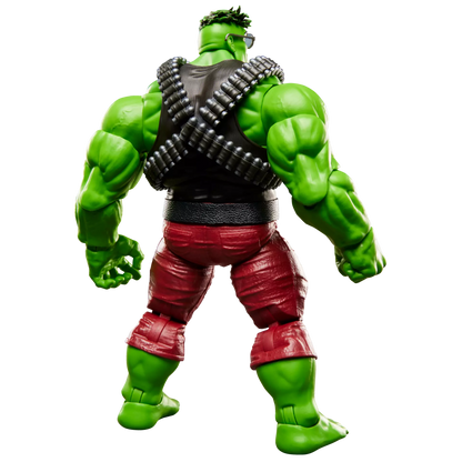Hasbro Marvel Legends Series The Incredible Hulk Professor Hulk