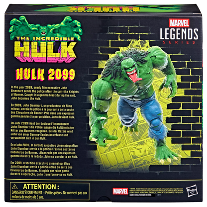 Hasbro Marvel Legends Series The Incredible Hulk Hulk 2099