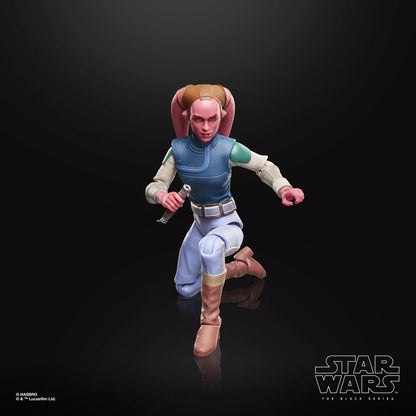 Hasbro Star Wars The Black Series Maul - Shadow Lord Devon Izara