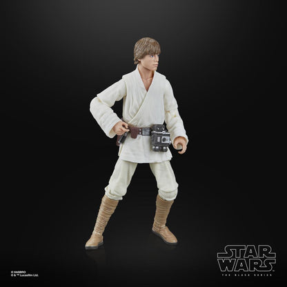 Hasbro Star Wars The Black Series Luke Skywalker Star Wars: A New Hope
